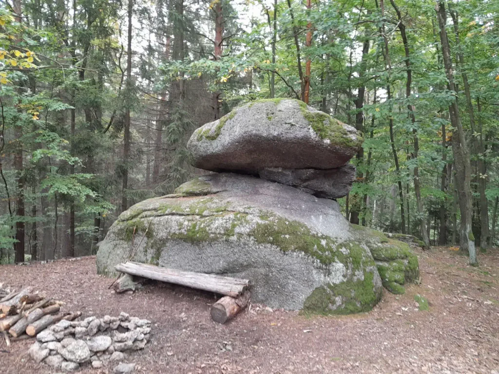 Voděradské bučiny 