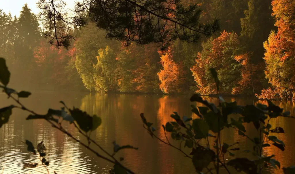 Voděradské bučiny 