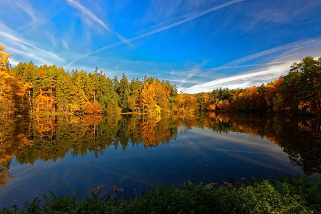 Voděradské bučiny 