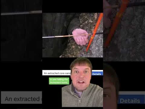 Video k článku ZDE