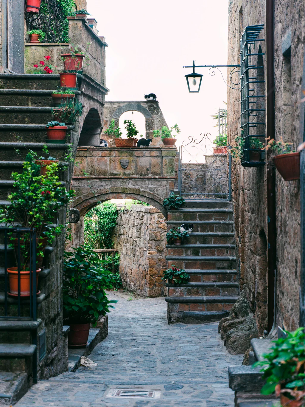 gabriella-clare-marino-zEM-W_fug1I-unsplash