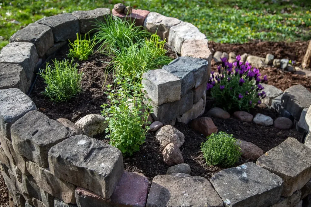 bylinková zahrádka