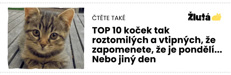 čTĚTE TAKÉ (4)