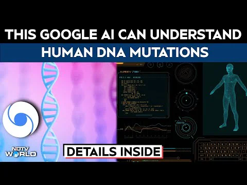 Video k článku ZDE