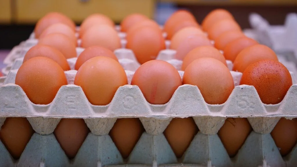Kontrola poškození: Důležitý, ale ne jediný důvod