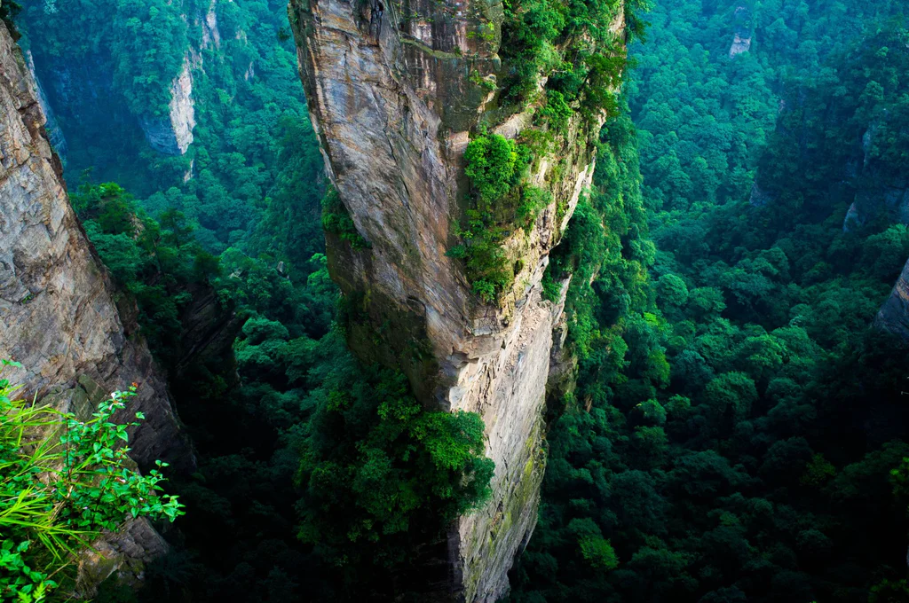 ZhangjiajieN