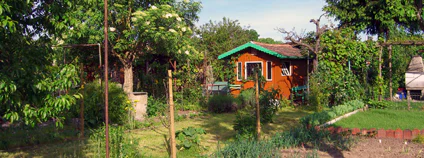 Foto: Patrik Tschudin / Flickr