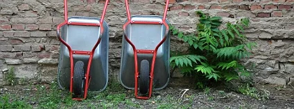 Foto: Prazelenina.cz