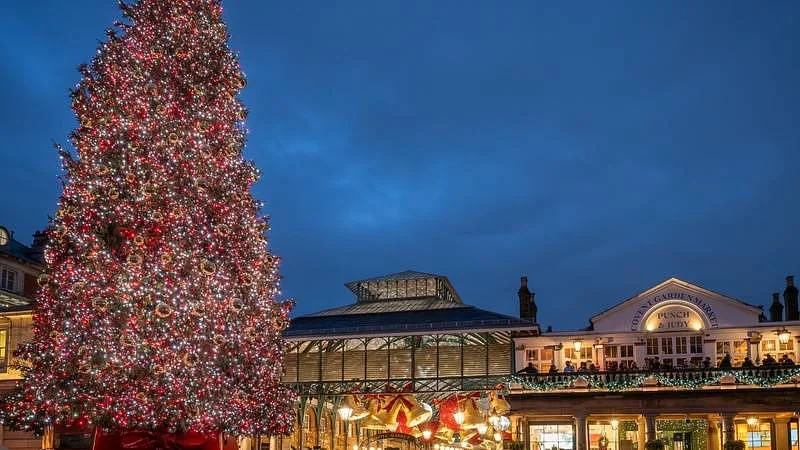 vánoční strom 2023