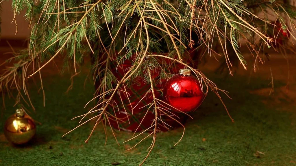 V Novém Hrádku mají nejošklivější vánoční strom. Jenže každý se do něj zamiluje