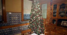 Fotografie vánočního stromečku