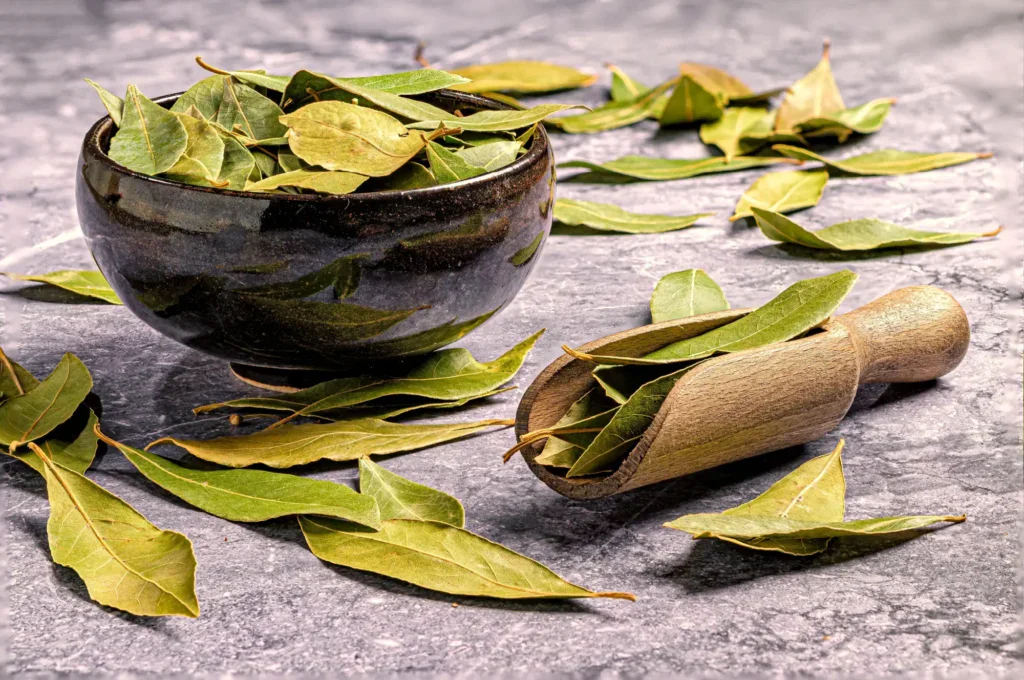 Proč je bobkový list v pračce skvělý?