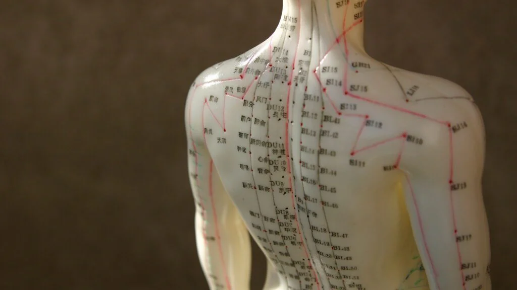 Jehly jako pomocníci