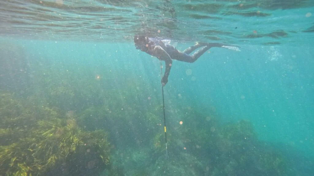 Potápěči hledající golfové míčky