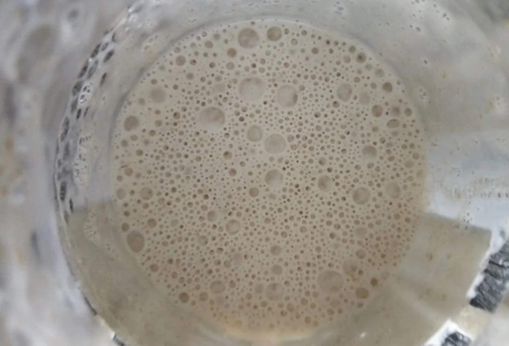 Obrázek k receptu: Klasika českých stolů: kynuté těsto jako od babičky