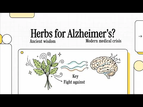 Video k článku ZDE