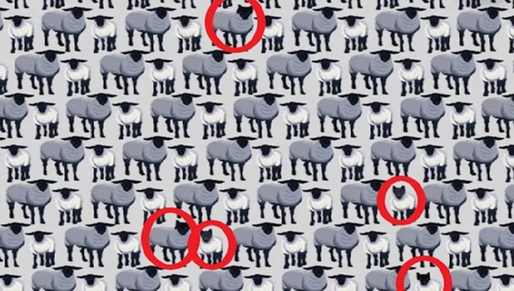 Test s ovcemi s nápovědou