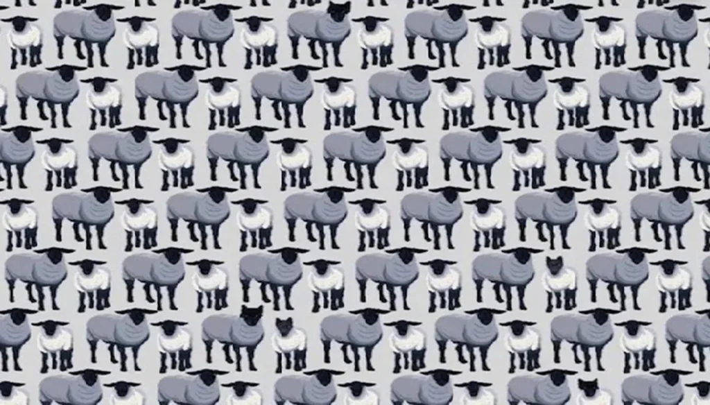 Test s ovcemi bez nápovědy