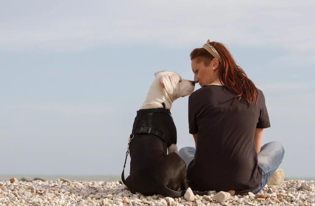 5854d904e0bd7-shutterstock-120449176-1-min.jpg.webp