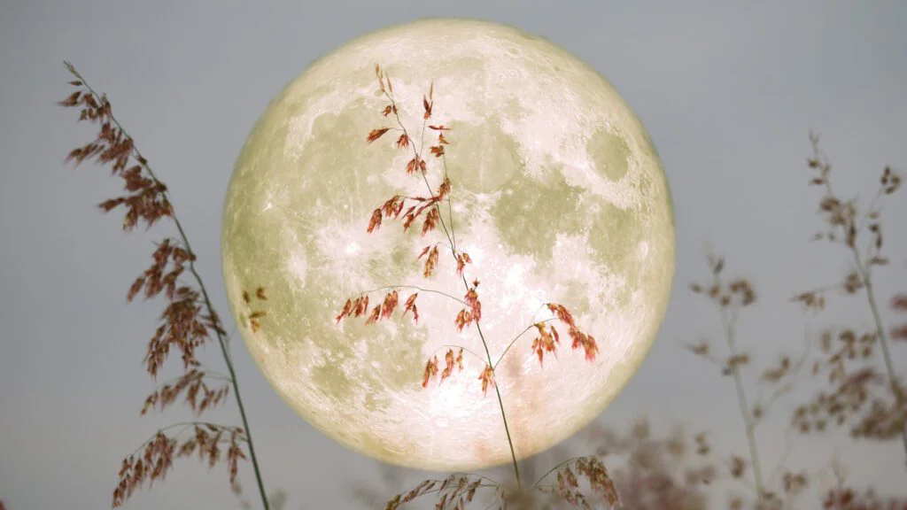 Spirituální význam