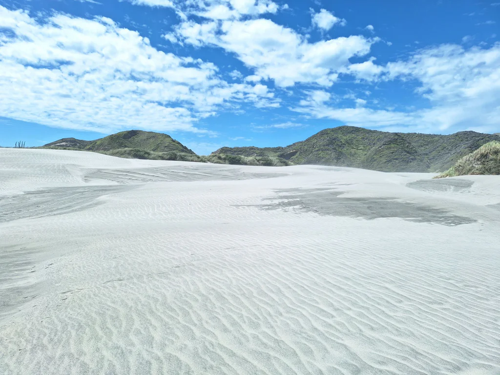 Wharariki novy zeland