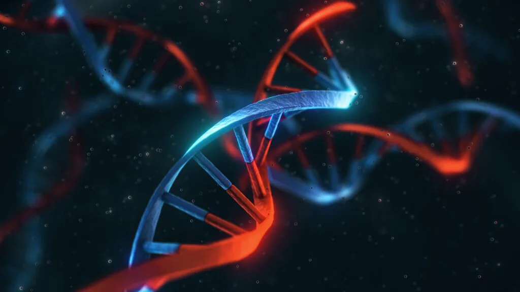 DNA nás utváří