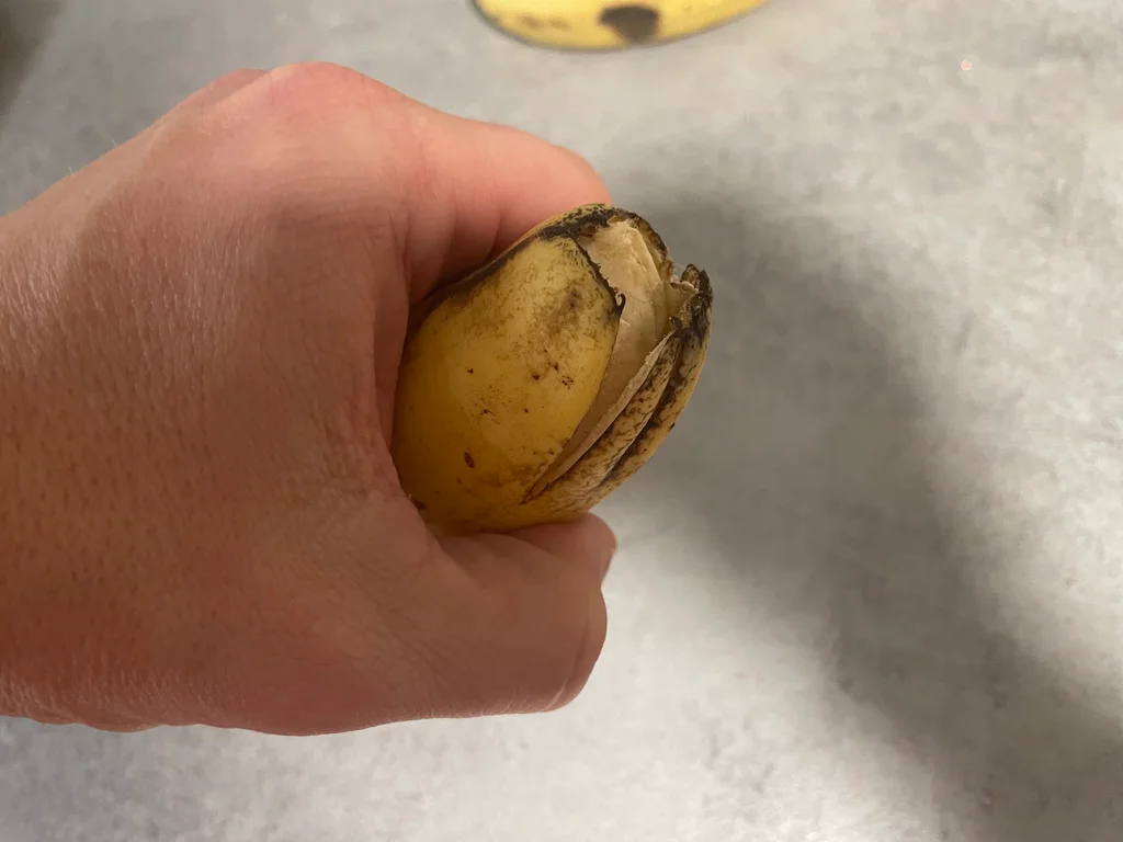 Banán s odlomenou stopkou ideální ke konzumaci