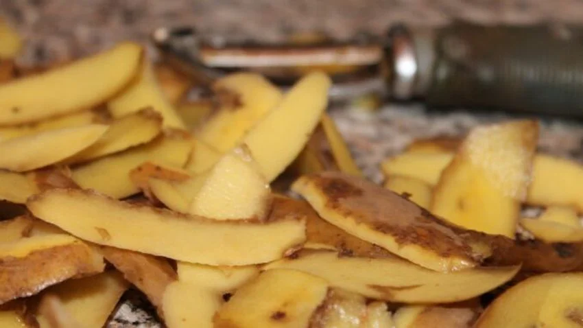 Slupky z ovoce a zeleniny 