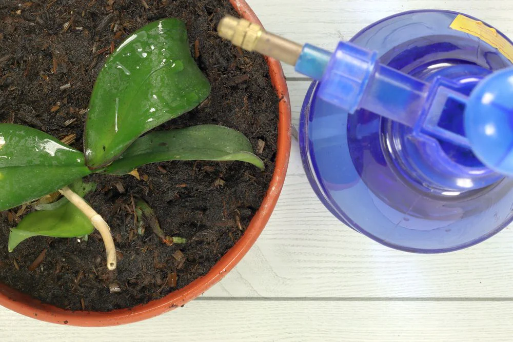 Slupky z ovoce a zeleniny 