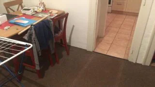 Kdo k sobě domů nepustí úředníka, dostane pokutu až 20 000 Kč. Přijít můžou i ve 2 ráno