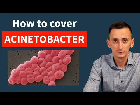 Video k článku ZDE