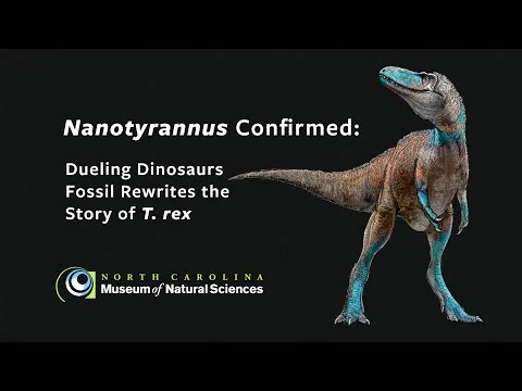 Video k článku ZDE