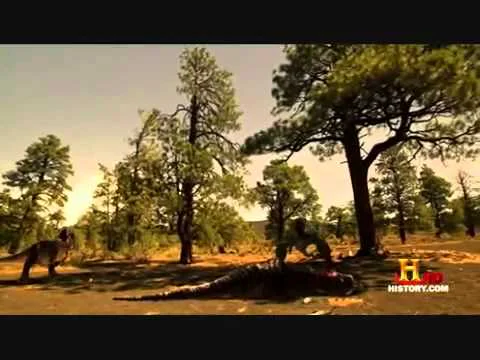 Video k článku ZDE