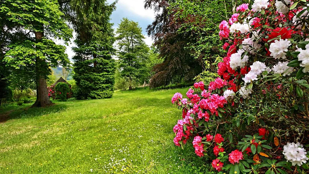 Zahradničení v červnu: Ty nejdůležitější zahradnické práce