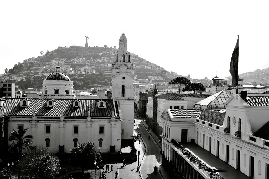 pexels-davegarcia-32497226