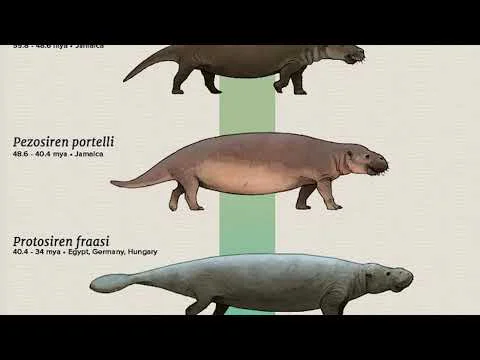 Video k článku ZDE