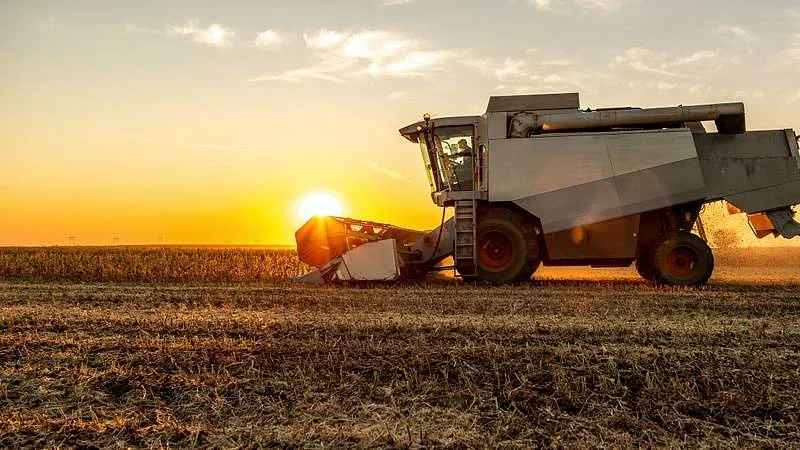 kombajn, sklizeň