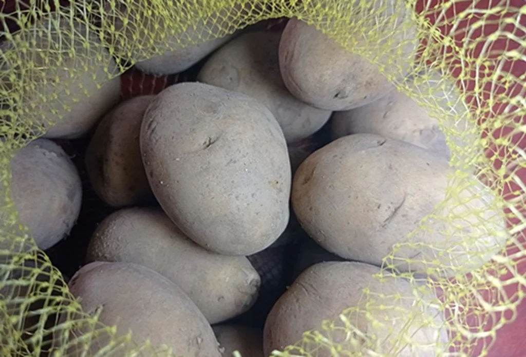 Obrázek k receptu: Zdravé hranolky: doma s láskou připravené