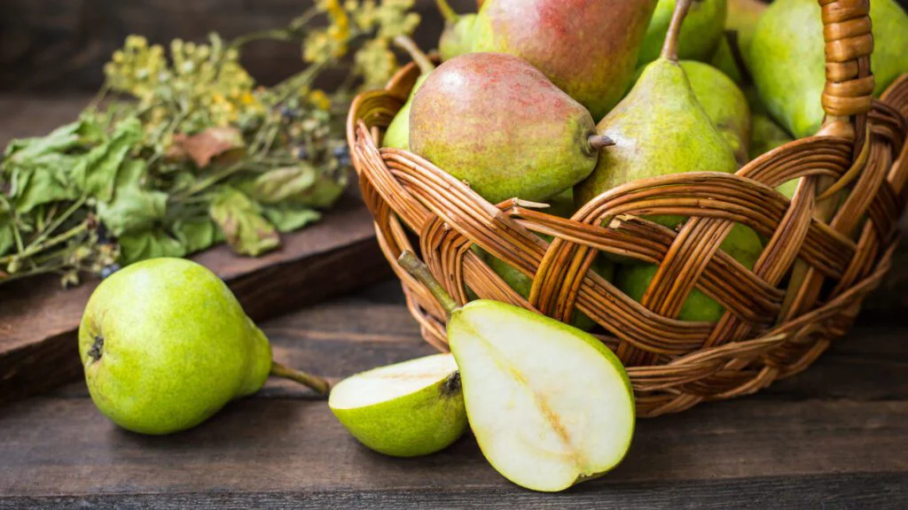 Dlouhá historie pěstování 