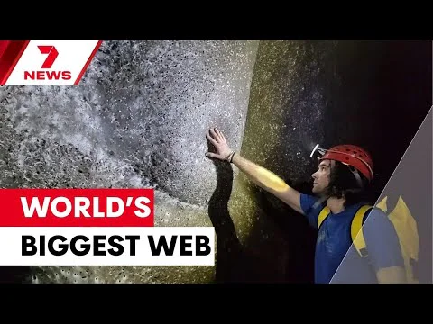 Video k článku ZDE