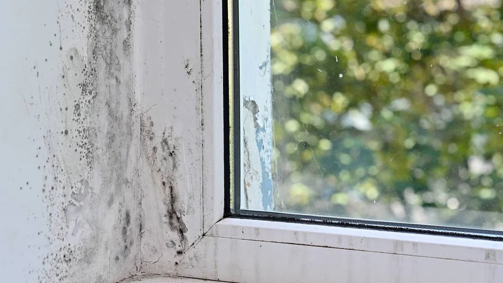 Tohle máme doma skoro všichni. A přitom by to mělo být okamžitě pryč