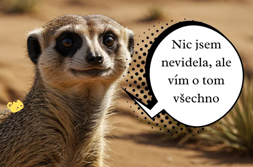 Nic jsem nevidela, ale vím o tom všechno
