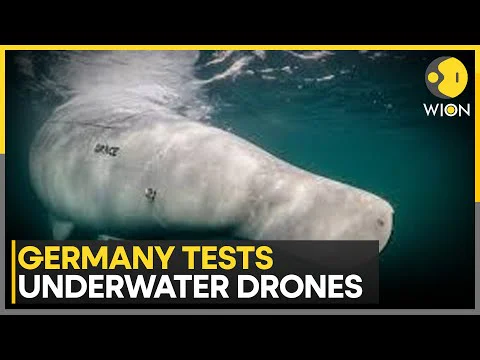 Video k článku ZDE