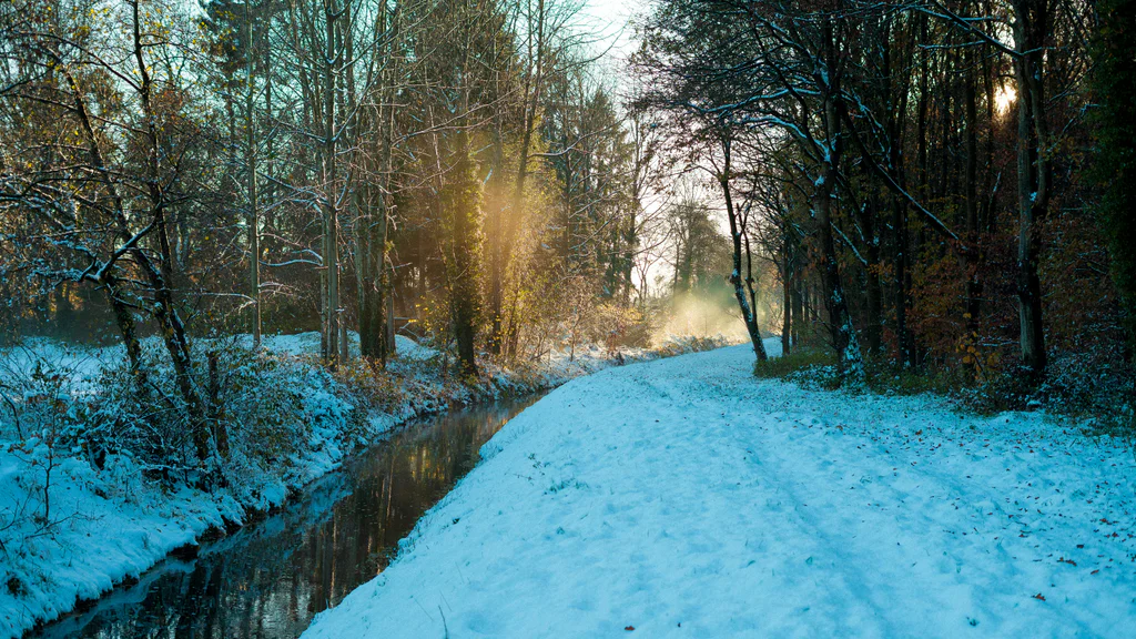 Podle odborníků stačí tři drobnosti a prosincové ráno nebude tak uspěchané