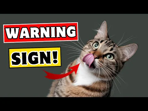 Video k článku ZDE