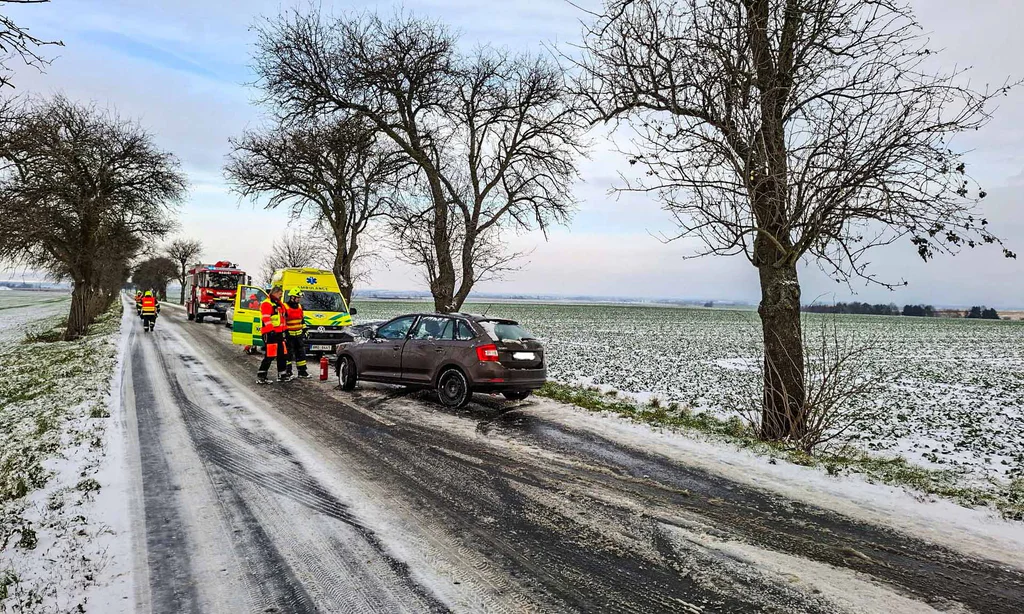 U Výšovic naboural řidič s Octavií do stromu, Z vozu vypadl motor. Foto: HZS