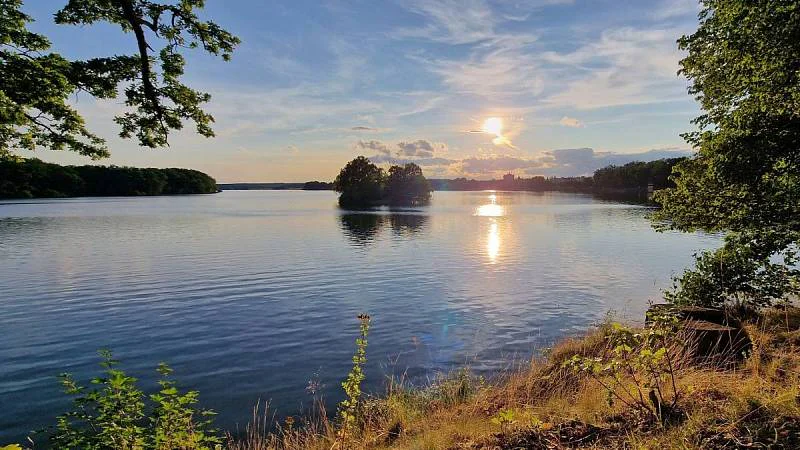 Třeboňský rybník