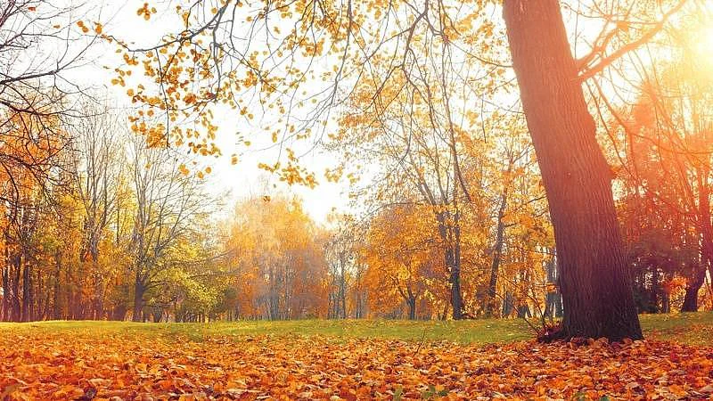 Velký horoskop na říjen je tady. Štěstí do klína, nebo bilancování