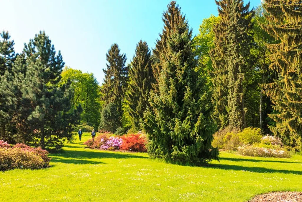Na zelenožlutém trávníku v Průhornickém parku se nacházejí zelené jehličnany a barevné keře za slunečného dne
