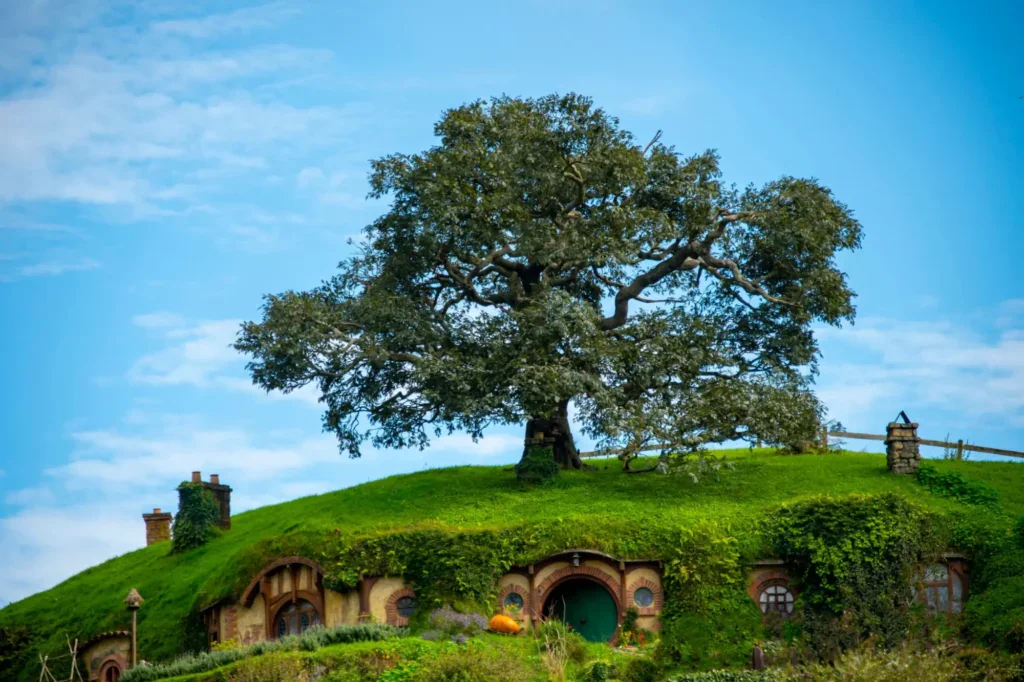 Krajina Kraje s dubem na vrcholku